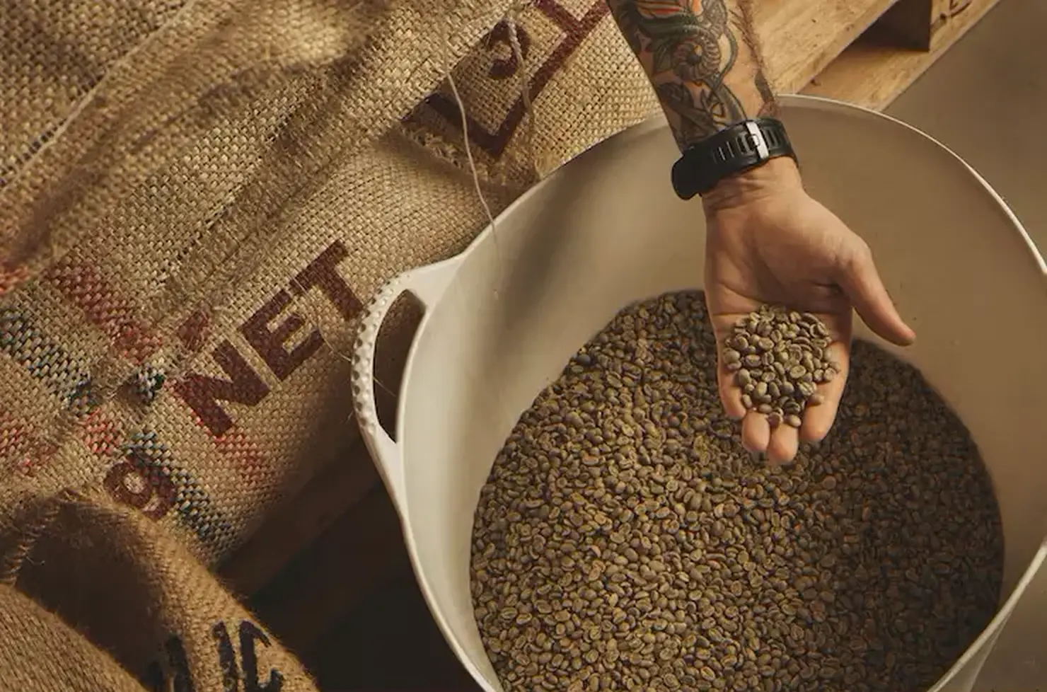 Raw coffee beans in hands