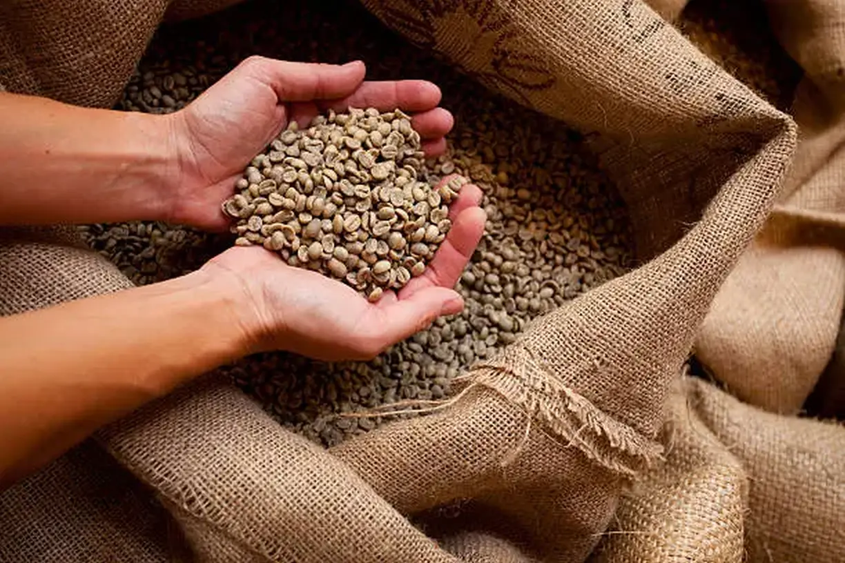Coffee beans close-up